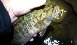 smallie on frog popper.jpg